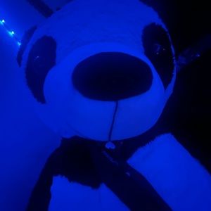 Meet your Posher, Piece of